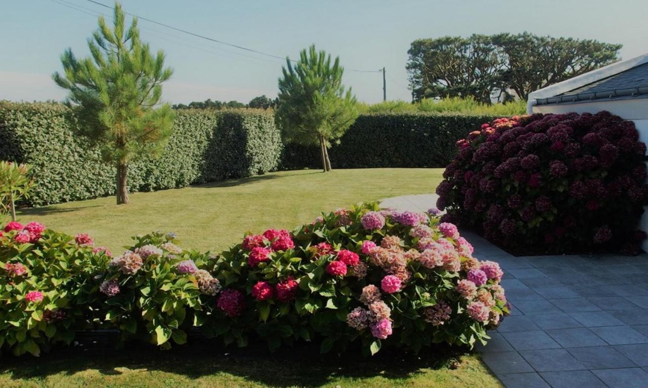 Maison Accueillante A Bangor Avec Jardin Clos Et Cheminee Экстерьер фото
